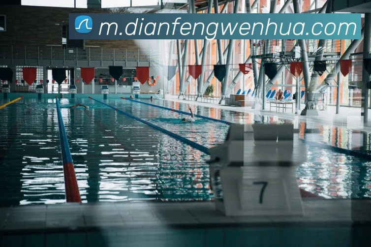 App Interface Preview