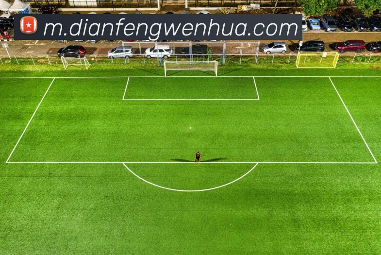 巅峰国际APP 封面图